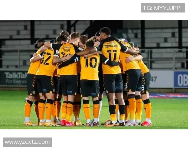 芬超与丹超实力对比分析揭示北欧足球的竞争格局与发展潜力